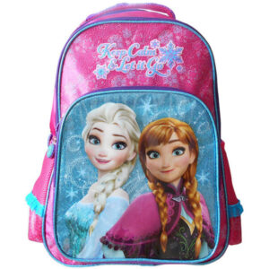 ΤΣΑΝΤΑ ΠΛΑΤΗΣ ΜΕ 3 ΘΗΚΕΣ FROZEN