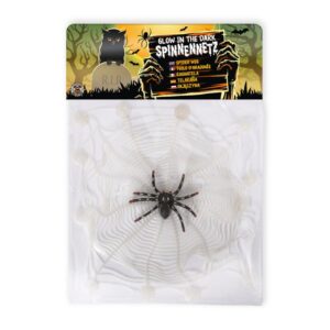 Ιστός αράχνης μαζί με αράχνη 0474